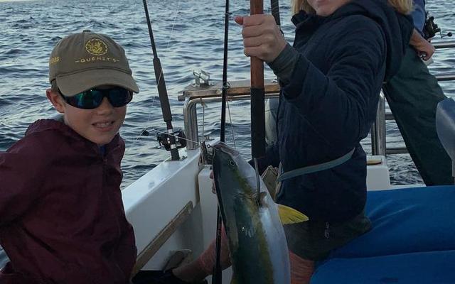 WhatsApp_Image_2020_03_21_at_18.19.46_2__1584960346