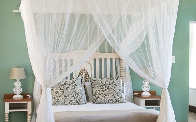 51136504_2645848598775608_3703349303461281792_o_1585121774