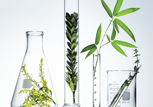 Immune Support and Stress Management Tip #3