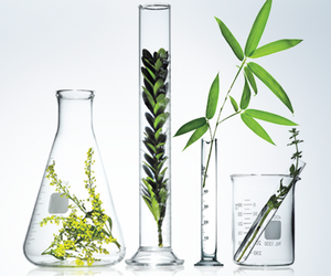 Immune Support and Stress Management Tip #3