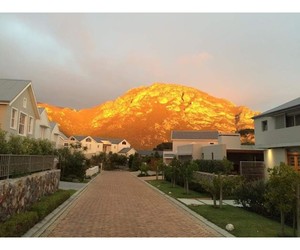 Immune Support and Stress Management Tip #4