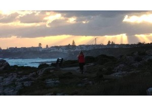 Immune Support and Stress Management Tip #12