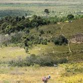 Cycling - Kleinmond Cycle Club