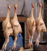 Henpecked and Whipped