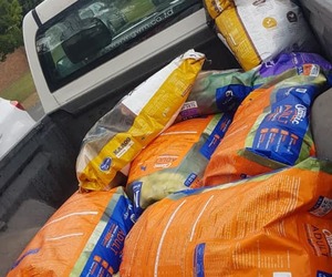 Challenge - Buy one bag of food for KAWS!