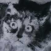 Kitty Confined - Sara Abbott Studio - Stanford