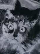 Online Charcoal and Pastel Course