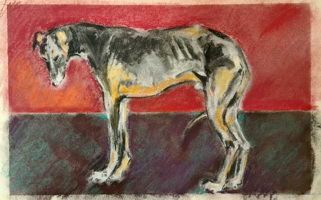 WhatsApp_Image_2020_04_14_at_14.36.37_1__1586931068