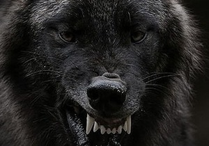 Facebook Live Talk: Power Generation