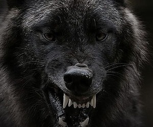 Facebook Live Talk: Power Generation