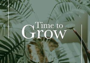 5 Household plants to enhance your home (and mood) during lockdown