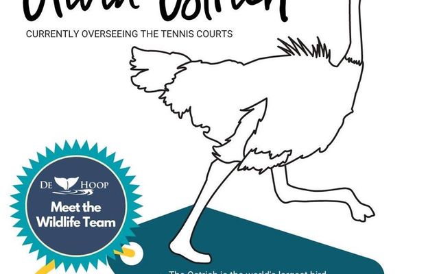 93796297_10157739561176677_1361351289614630912_o_1587020519