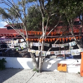 Night of 1000 drawings 2019 - Hermanus Art Circle