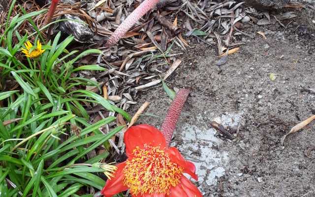 IMG_20200424_WA0001_1587718572