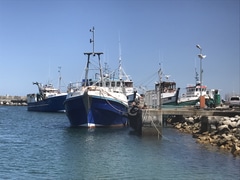 What we love about Gansbaai and surrounds