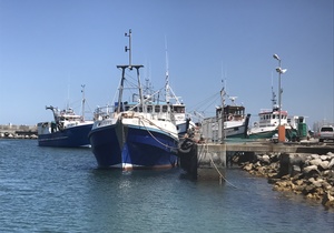 What we love about Gansbaai and surrounds