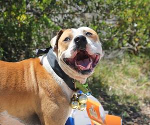 Stand Up For a KAWS You Believe In