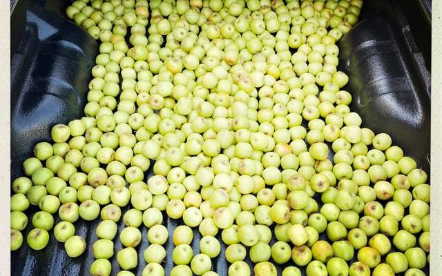 92824142_2978358262209789_3839725789398433792_n_1588169831