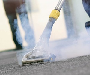 Steam Cleaning & Spray Sanitizing