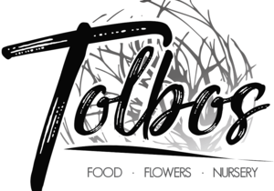 Menu - Friday, 1 May 2020