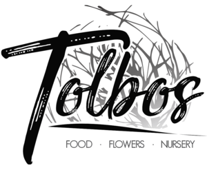 Menu - Friday, 1 May 2020