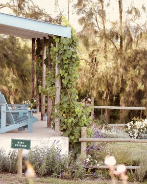 cheverellsfarm.2_1588664314