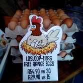 Free Range Eggs - Jan Biltong t/a Suidwes Biltong - Xplorio™ Kleinmond