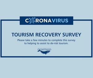 Tourism Recovery Survey