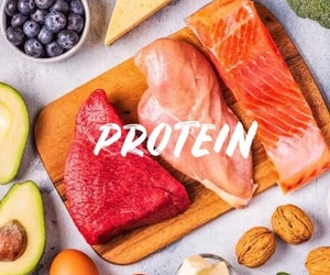 Nutrition Tip - Protein