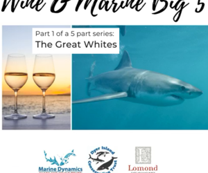 Marine Big 5 & Wine Pairing - Thursday, 28 May, 18:00