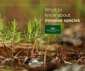 How Alien Plant Species Could Invade Your Sale