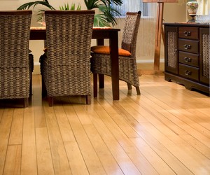 Woodoc Wood Coatings