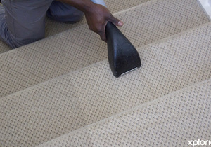 Carpet & Upholstery Cleaning