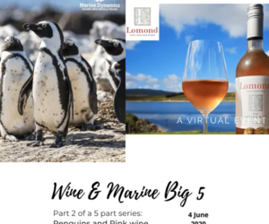 Marine Big 5 & Wine Pairing - Thursday, 04 June, 18:00