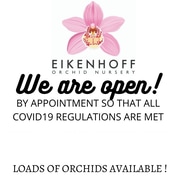 We Are Open!