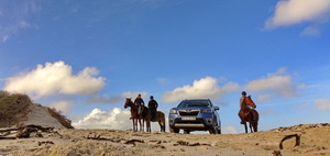 Pearly Beach's Sea Horses
