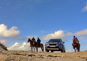 Pearly Beach's Sea Horses