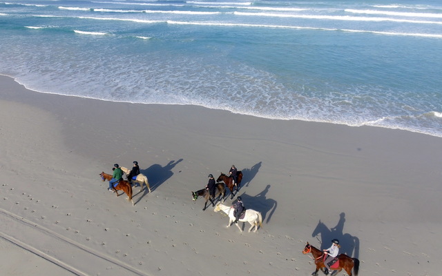 Gansbaai & Pearly Beach Horse Trails