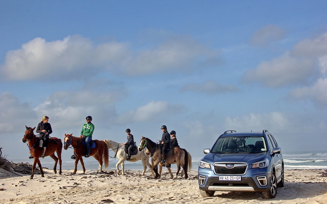 Gansbaai & Pearly Beach Horse Trails Gansbaai & Pearly Beach Horse Trails