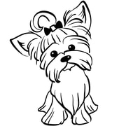 Grooming Parlour Protocols