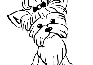 Grooming Parlour Protocols