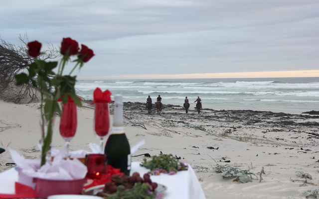 Gansbaai & Pearly Beach Horse Trails