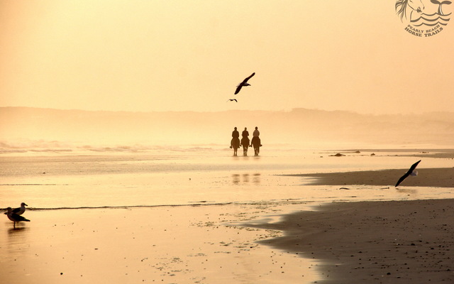 Gansbaai & Pearly Beach Horse Trails Gansbaai & Pearly Beach Horse Trails