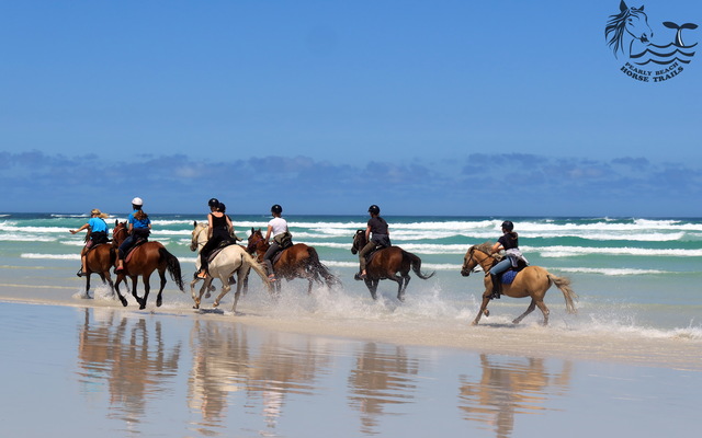 Gansbaai & Pearly Beach Horse Trails