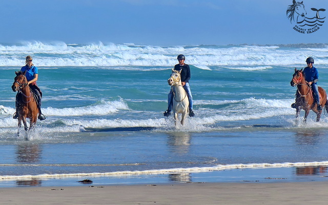 Gansbaai & Pearly Beach Horse Trails