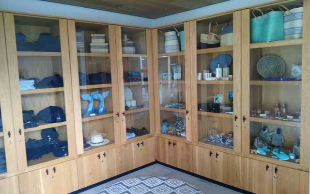 WhatsApp_Image_2020_07_10_at_07.59.05_1594384146