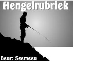 Hengelrubriek