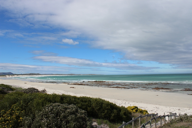 The amazing beach at Franskraal flows into "Die Grys" which goes all the way to Pearly Beach and beyond.