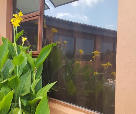 Safety_UV_1595608774