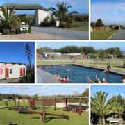 Opening Thursday, 6 August 2020